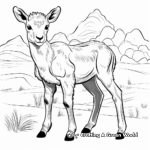 Exotic Desert Bighorn Sheep Coloring Pages 2
