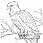 Exotic Harpy Eagle Adult Coloring Pages 2