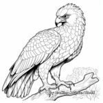 Exotic Harpy Eagle Adult Coloring Pages 4