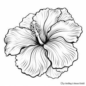 Exotic Hibiscus Flower Coloring Pages 2