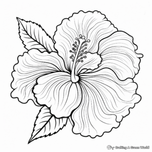Exotic Hibiscus Flower Coloring Pages 3