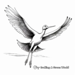 Exotic Jabiru Stork Coloring Pages for Artists 3