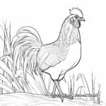 Exotic Jungle Fowl Coloring Pages 4
