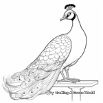 Exotic Peacock on Perch Coloring Pages 3