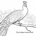Exotic Peacock on Perch Coloring Pages 4