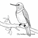 Exotic Purple-Throated Carib Hummingbird Coloring Pages 1