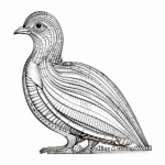 Exotic Reeves's Pheasant Coloring Sheets 3