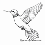 Exotic Ruby Throated Hummingbird Coloring Pages for Adults 2