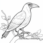 Exotic Toucan Coloring Pages 2