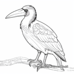 Exotic Toucan Coloring Pages 4