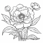 Exotic Tree Peony Coloring Pages 3