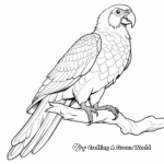 Exotic Yellow-collared Macaw Coloring Sheets 2