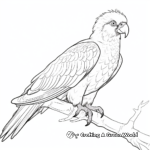 Exotic Yellow-collared Macaw Coloring Sheets 3