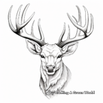 Expert Level: Antlers In Detail Coloring Pages 1
