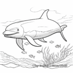 Explore Underwater with Dolphin Echolocation Coloring Pages 1