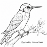 Exquisite Blue-Throated Mountain-Gem Coloring Pages 4