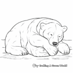 Exquisite Polar Bear Sleeping Coloring Pages 2