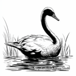 Exquisite Swan Silhouette Coloring Pages 1