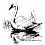 Exquisite Swan Silhouette Coloring Pages 2