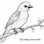 Eye-catching Gila Woodpecker Coloring Pages for Adults 1