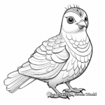 Eye-catching Rainbow Pigeon Coloring Pages 1