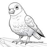 Eye-catching Rainbow Pigeon Coloring Pages 2