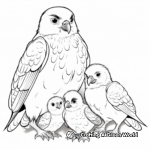 Falcon Family Coloring Pages: Male, Female, and Chicks 2