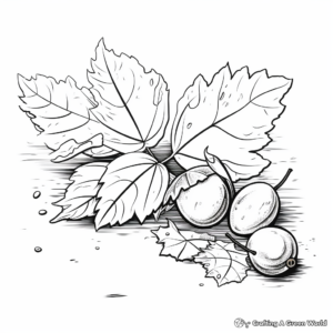 Fallen Acorns and Oak Leaves Coloring Pages 1