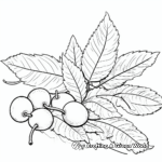 Fallen Acorns and Oak Leaves Coloring Pages 4