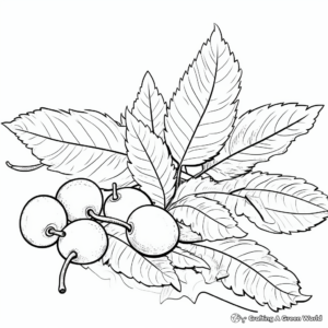 Fallen Acorns and Oak Leaves Coloring Pages 4