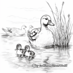 Family of Ducks: Swimming Scene Coloring Sheets 3