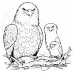 Family of Eagles in Flight Coloring Pages: Male, Female, and Eaglets 1