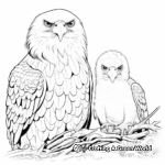 Family of Eagles in Flight Coloring Pages: Male, Female, and Eaglets 2