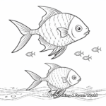 Family of Sunfish Coloring Pages: Male, Female, and Fry 1