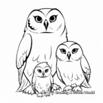 Fascinating Barn Owl Family Coloring Pages 4