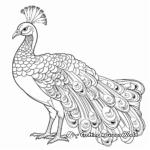 Fascinating Palawan Peacock-Pheasant Coloring Pages 2