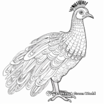 Fascinating Palawan Peacock-Pheasant Coloring Pages 4