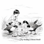 Feeding Canada Geese Coloring Pages for Kids 2