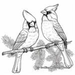 Festive Cardinals in Winter: Seasonal Coloring Pages 2