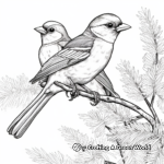Festive Cardinals in Winter: Seasonal Coloring Pages 3