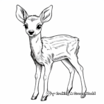Fetching Baby Fawn Coloring Pages 4