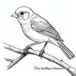 Field Sparrow Coloring Pages for Bird Lovers 1