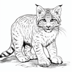 Fierce Wild Bobcat Coloring Pages 3