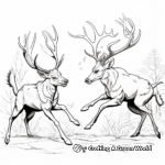 Fighting White Tailed Deer: A Battle of Antlers Coloring Page 3