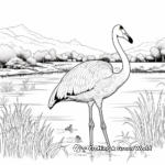 Flamingo in Habitat: Wetland-Scene Coloring Pages 2