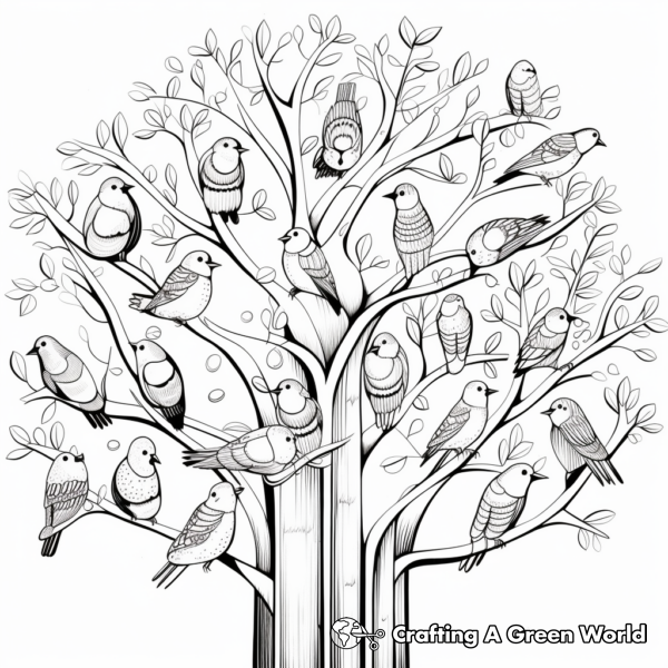 Cardinal Coloring Pages - Free &amp; Printable!