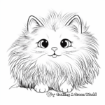 Fluffy Angora Cat Face Coloring Pages 4