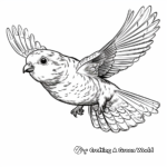 Flying Budgie Action Coloring Pages 3