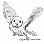 Flying Budgie Action Coloring Pages 4