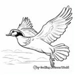Flying Wood Duck: Sky Scene Coloring Pages 4